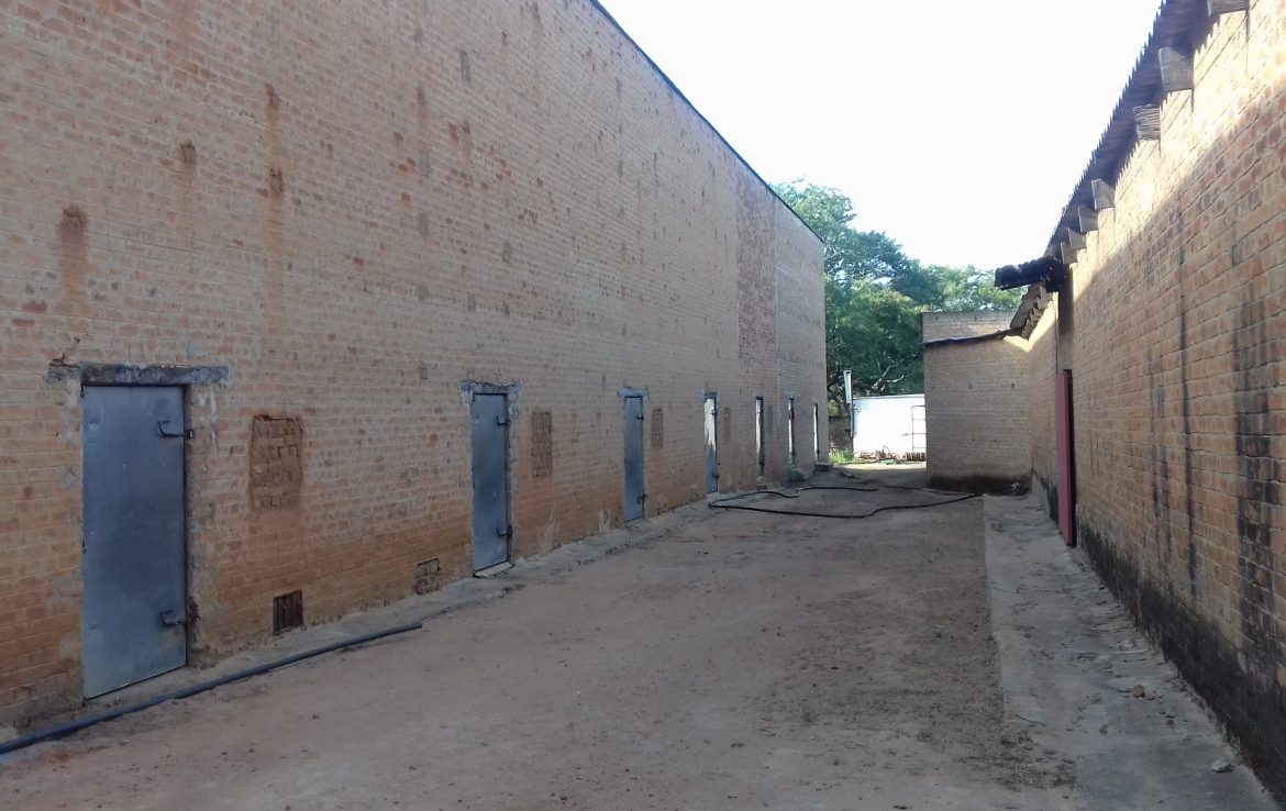 Farm for Sale in Choma, Zambia, Real Estate Zambia ZambianHome