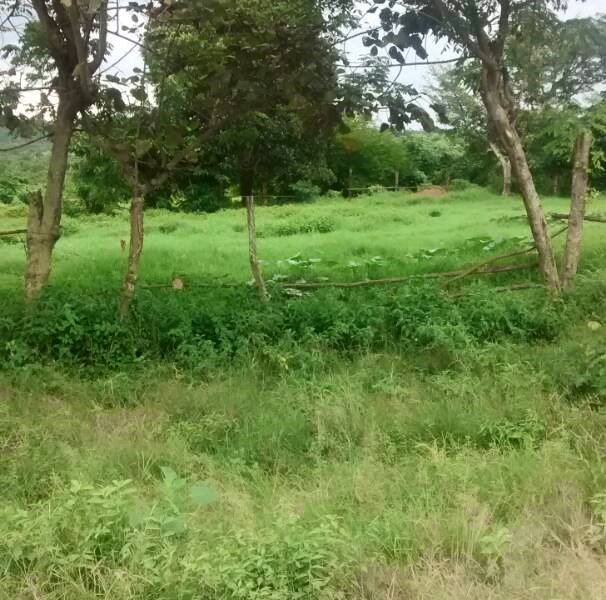 PLOT FOR SALE LUSAKA WEST, Real Estate Zambia ZambianHome