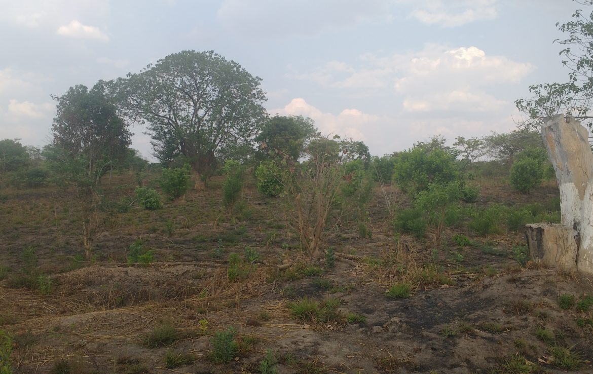 farm for sale,kitwe,kafue river frontage,zns,luto area, Real Estate