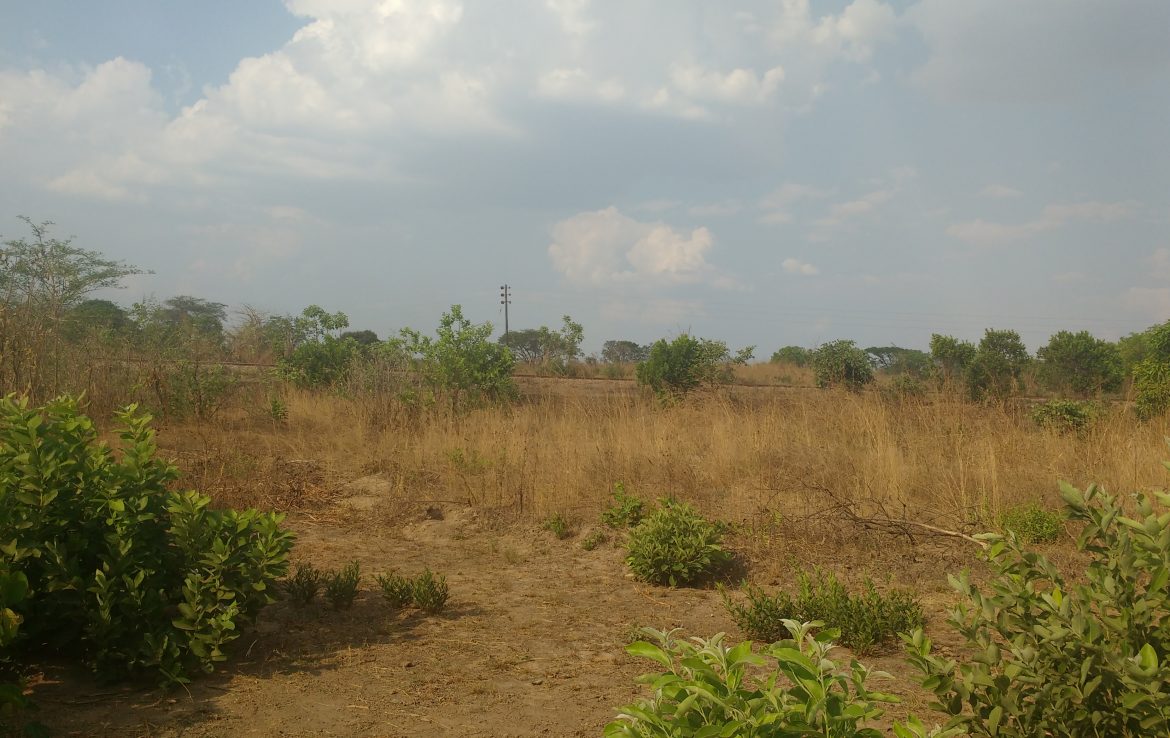 farm for sale,kitwe,kafue river frontage,zns,luto area, Real Estate