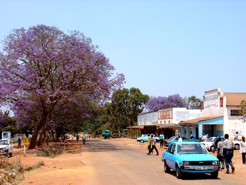 Kasama